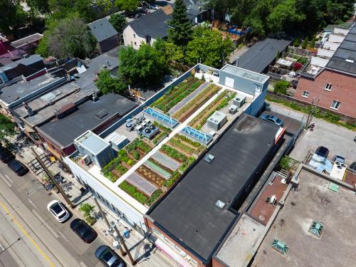 Rooftop garden from bird's eye view